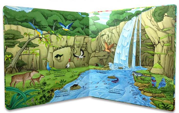 Safari childrens book